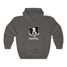 Load image into Gallery viewer, Charcoal Hoodie with DillieDally Logo
