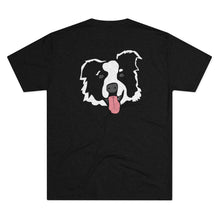 Load image into Gallery viewer, Black  T-Shirt (Back of Tshirt with DillieDally Dillie Logo)
