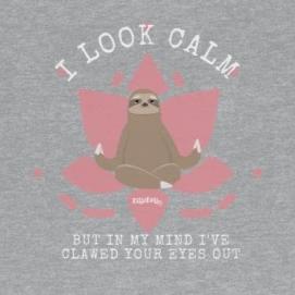 Grey Tee shirt with Pink Embellishments, a brown sloth, white DillieDally logo and white wording: I look calm but in my mind I've clawed your eyes out