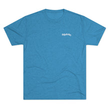 Load image into Gallery viewer, Teal  Tee Shirt with DillieDally Logo
